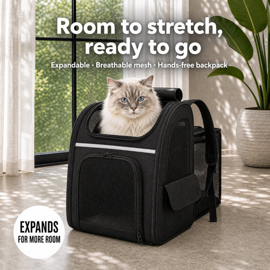 Ragdoll cat sitting in the black Purr Time expandable cat carrier backpack