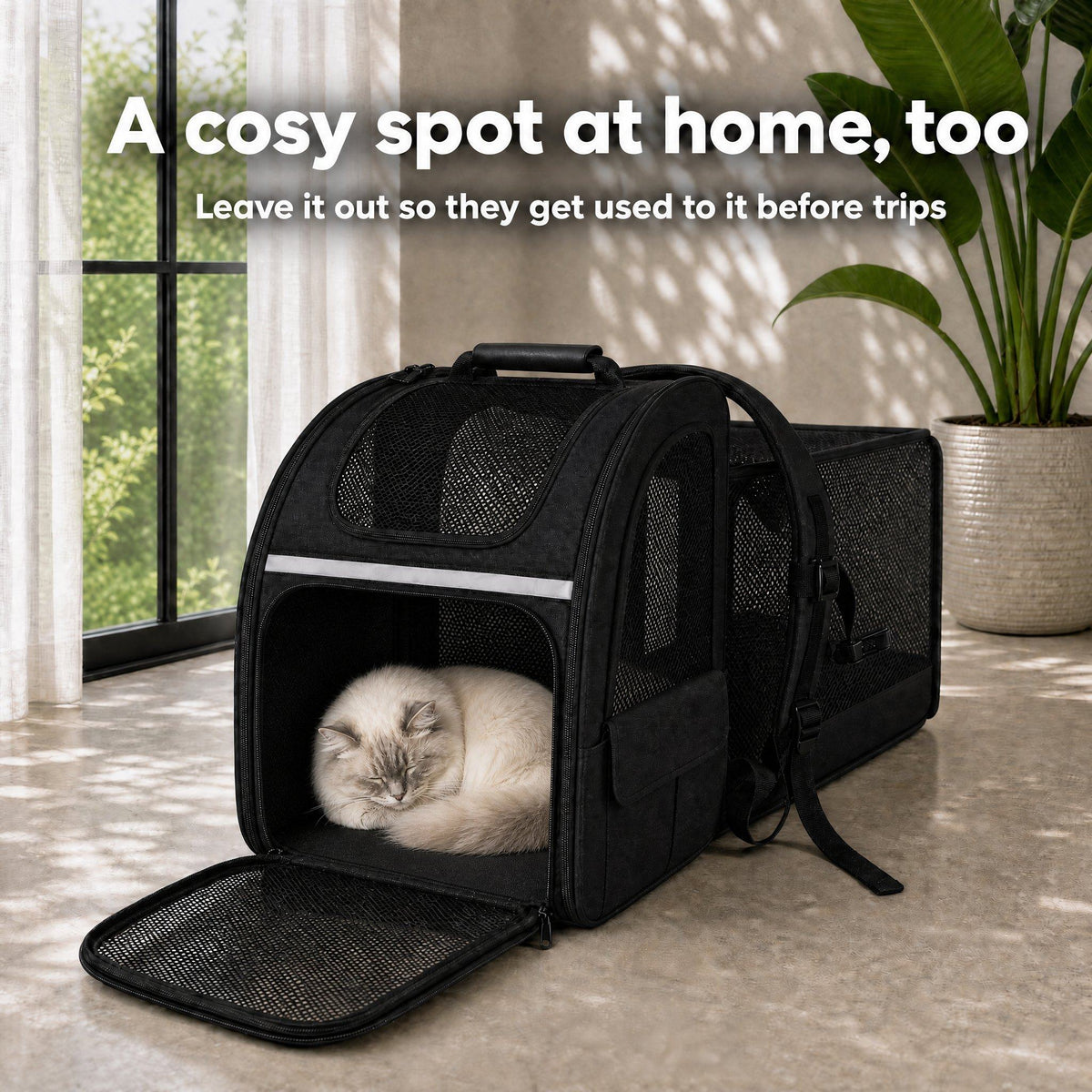 Cat sleeping inside the open cat carrier at home