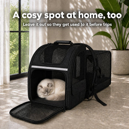 Cat sleeping inside the open cat carrier at home