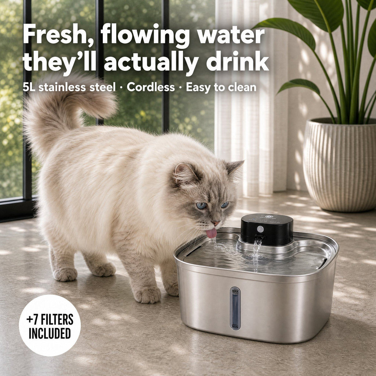 Ragdoll cat drinking from the Purr Time 5L stainless steel cat water fountain