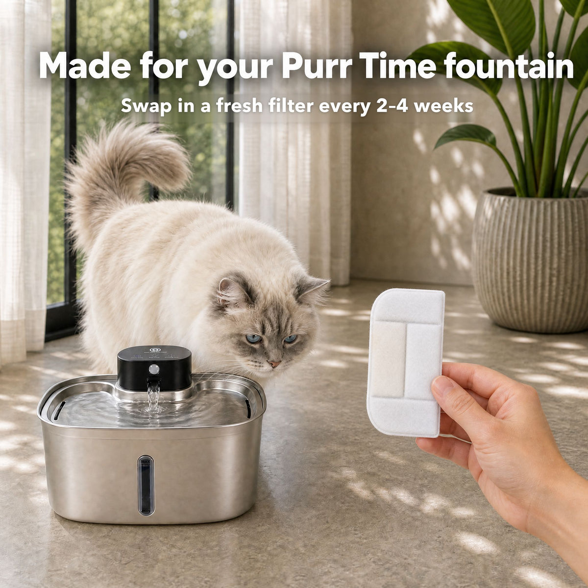 Hand holding a fresh replacement filter next to a cat drinking from the Purr Time fountain