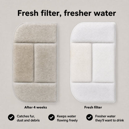 Used filter after 4 weeks next to a fresh white filter