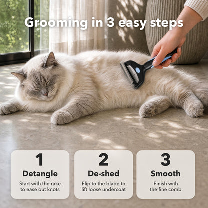 How to use the 3-in-1 Cat Brush in 3 steps: detangle, de-shed and smooth