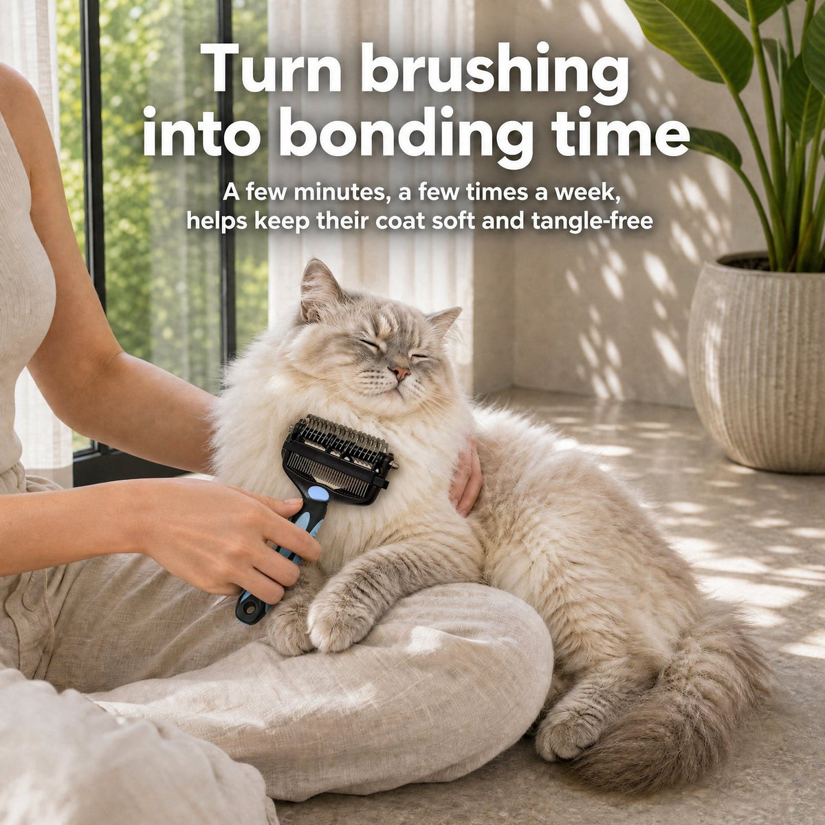 Woman gently brushing a relaxed Ragdoll cat on her lap with the 3-in-1 Cat Brush