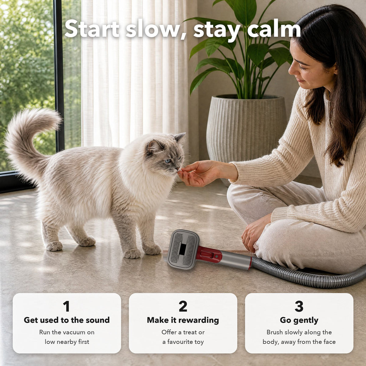 Woman calmly introducing her Ragdoll cat to the vacuum grooming brush in 3 steps