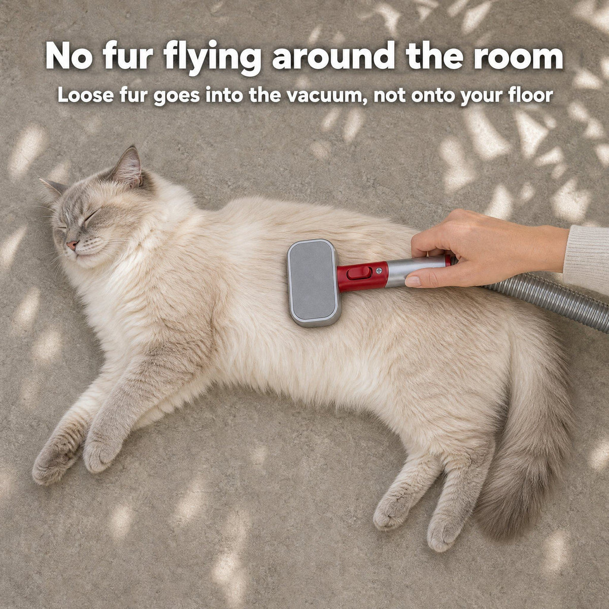 Ragdoll cat lying on the floor being groomed with the vacuum grooming brush